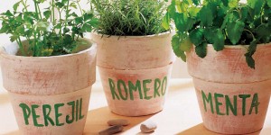 Dar vida a la cocina